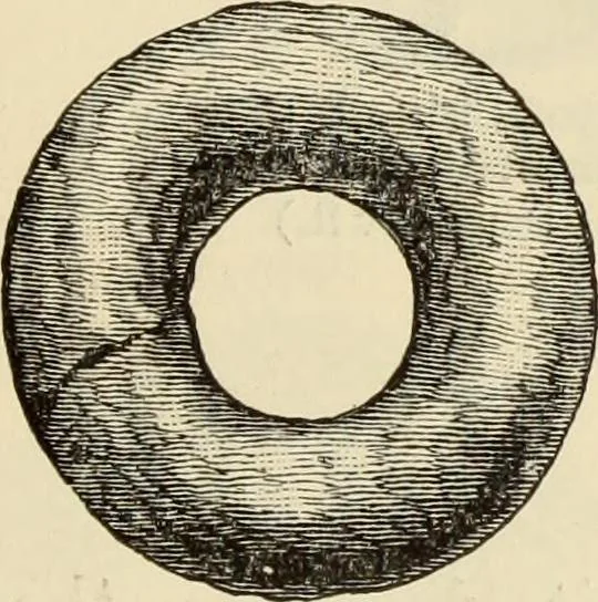 An illustration from Ilios; the city and country of the Trojans. The results of researches and discoveries on the site of Troy and throughout the Troad in the years 1871-72-73-78-79, including an autobiography of the author, 1880, leaf 590