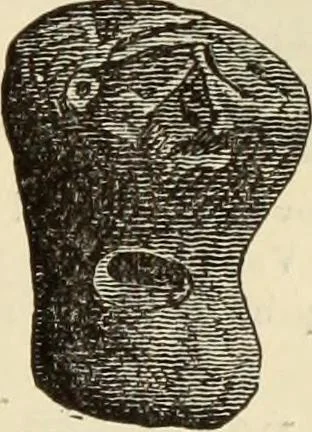 An illustration from Ilios; the city and country of the Trojans. The results of researches and discoveries on the site of Troy and throughout the Troad in the years 1871-72-73-78-79, including an autobiography of the author, 1880, leaf 590