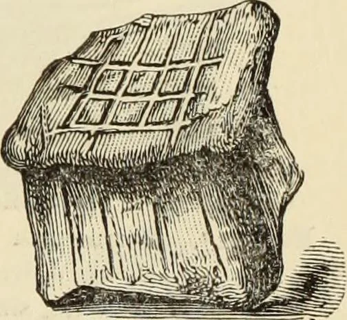 An illustration from Ilios; the city and country of the Trojans. The results of researches and discoveries on the site of Troy and throughout the Troad in the years 1871-72-73-78-79, including an autobiography of the author, 1880, leaf 590