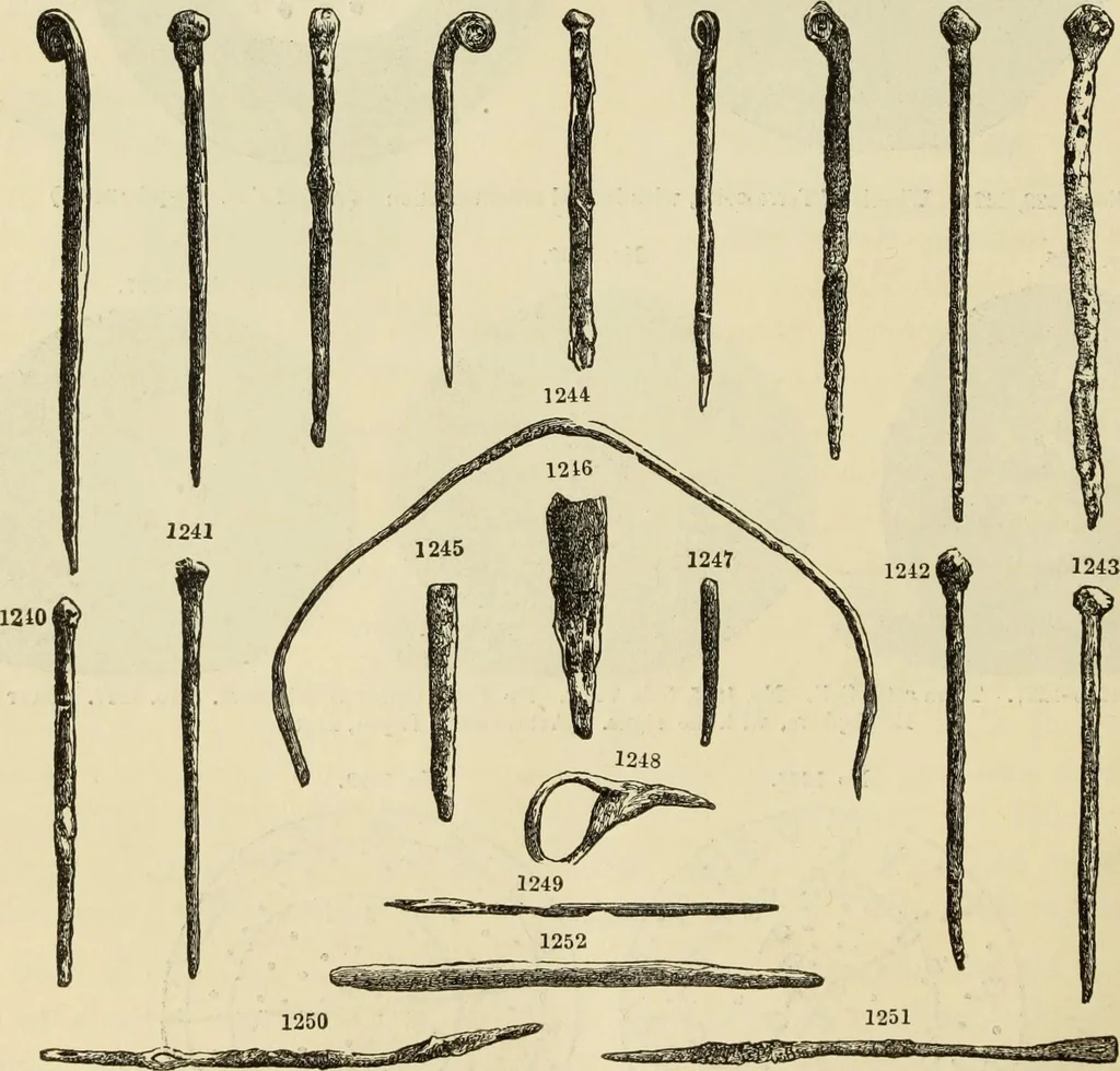 An illustration from Ilios; the city and country of the Trojans. The results of researches and discoveries on the site of Troy and throughout the Troad in the years 1871-72-73-78-79, including an autobiography of the author, 1880, leaf 593