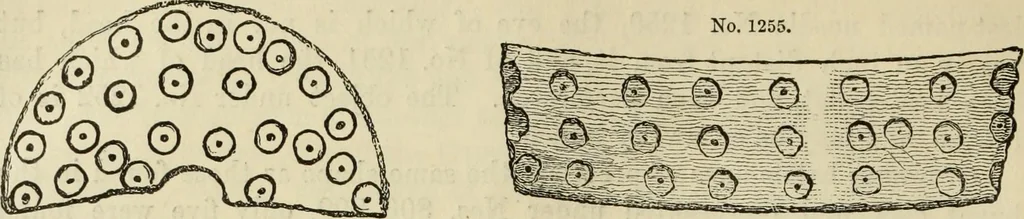 An illustration from Ilios; the city and country of the Trojans. The results of researches and discoveries on the site of Troy and throughout the Troad in the years 1871-72-73-78-79, including an autobiography of the author, 1880, leaf 595