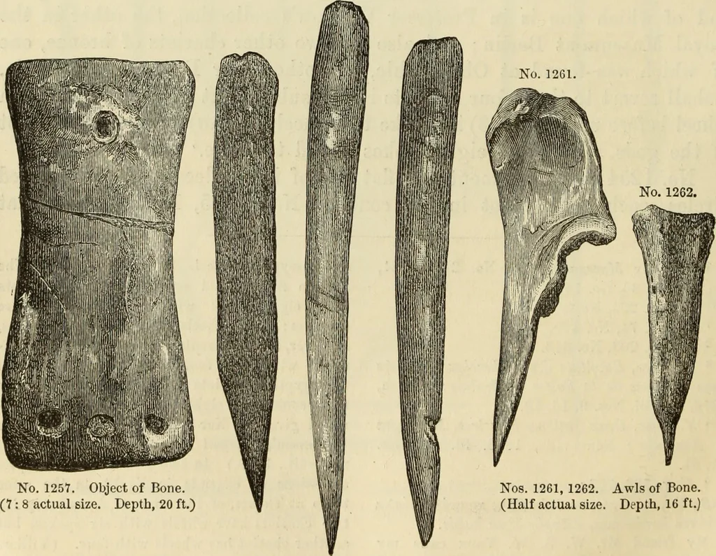 An illustration from Ilios; the city and country of the Trojans. The results of researches and discoveries on the site of Troy and throughout the Troad in the years 1871-72-73-78-79, including an autobiography of the author, 1880, leaf 595