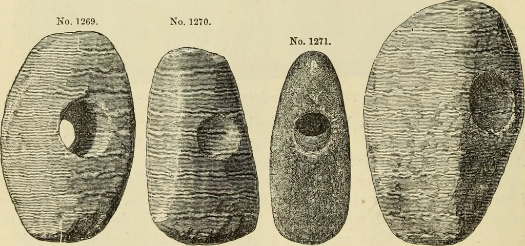 An illustration from Ilios; the city and country of the Trojans. The results of researches and discoveries on the site of Troy and throughout the Troad in the years 1871-72-73-78-79, including an autobiography of the author, 1880, leaf 597