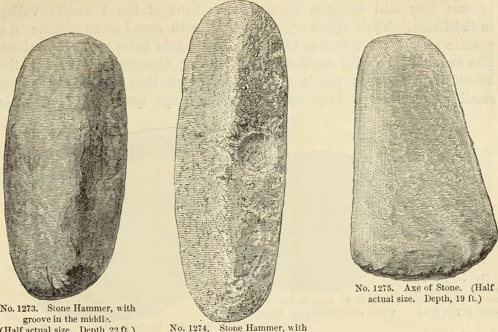 An illustration from Ilios; the city and country of the Trojans. The results of researches and discoveries on the site of Troy and throughout the Troad in the years 1871-72-73-78-79, including an autobiography of the author, 1880, leaf 598