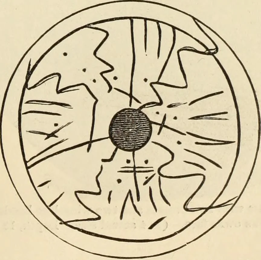 An illustration from Ilios; the city and country of the Trojans. The results of researches and discoveries on the site of Troy and throughout the Troad in the years 1871-72-73-78-79, including an autobiography of the author, 1880, leaf 602