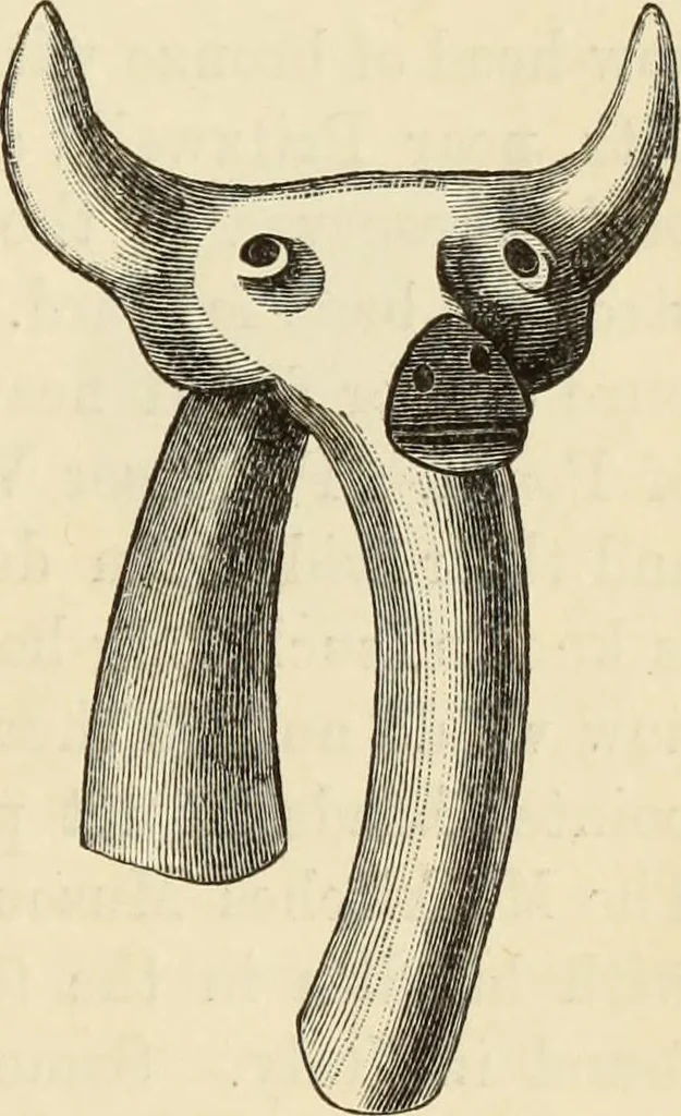 An illustration from Ilios; the city and country of the Trojans. The results of researches and discoveries on the site of Troy and throughout the Troad in the years 1871-72-73-78-79, including an autobiography of the author, 1880, leaf 628