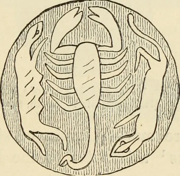 An illustration from Ilios; the city and country of the Trojans. The results of researches and discoveries on the site of Troy and throughout the Troad in the years 1871-72-73-78-79, including an autobiography of the author, 1880, leaf 630