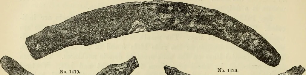 An illustration from Ilios; the city and country of the Trojans. The results of researches and discoveries on the site of Troy and throughout the Troad in the years 1871-72-73-78-79, including an autobiography of the author, 1880, leaf 633