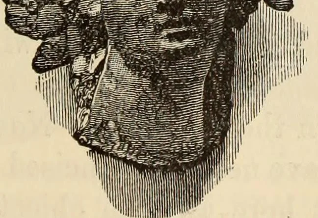 An illustration from Ilios; the city and country of the Trojans. The results of researches and discoveries on the site of Troy and throughout the Troad in the years 1871-72-73-78-79, including an autobiography of the author, 1880, leaf 646