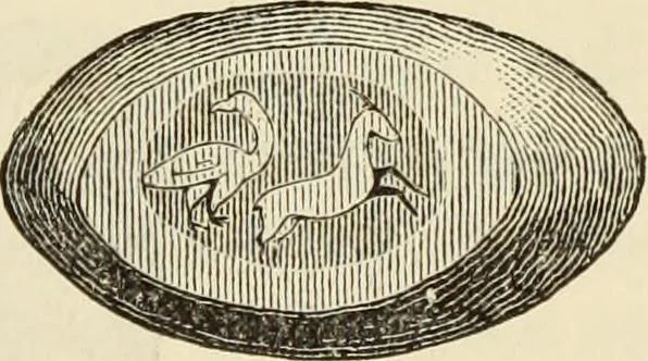 An illustration from Ilios; the city and country of the Trojans. The results of researches and discoveries on the site of Troy and throughout the Troad in the years 1871-72-73-78-79, including an autobiography of the author, 1880, leaf 648