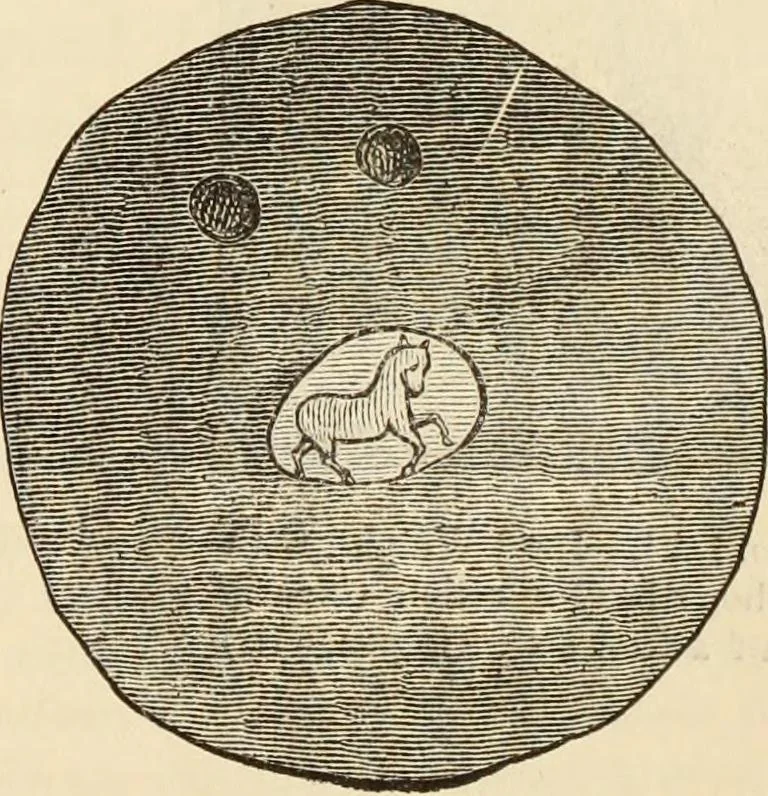 An illustration from Ilios; the city and country of the Trojans. The results of researches and discoveries on the site of Troy and throughout the Troad in the years 1871-72-73-78-79, including an autobiography of the author, 1880, leaf 648