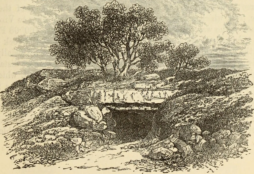 An illustration from Ilios; the city and country of the Trojans. The results of researches and discoveries on the site of Troy and throughout the Troad in the years 1871-72-73-78-79, including an autobiography of the author, 1880, leaf 654