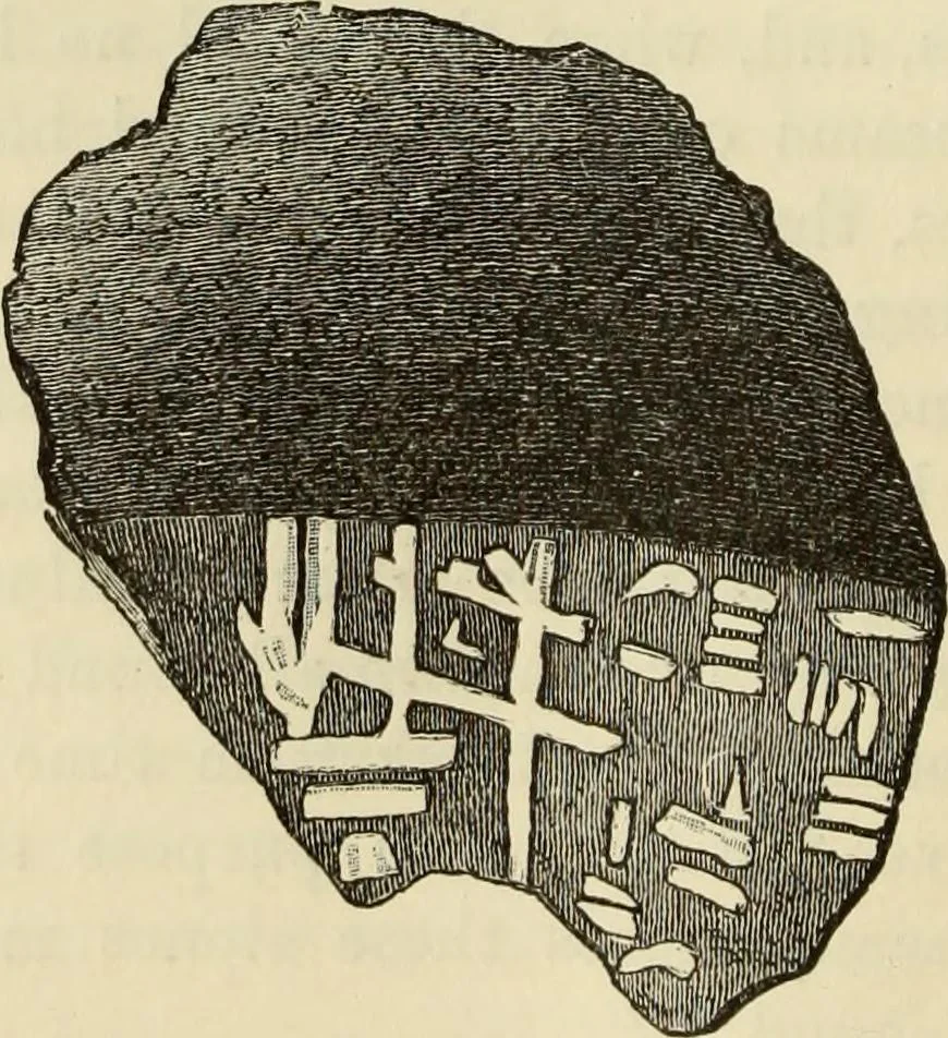 An illustration from Ilios; the city and country of the Trojans. The results of researches and discoveries on the site of Troy and throughout the Troad in the years 1871-72-73-78-79, including an autobiography of the author, 1880, leaf 695