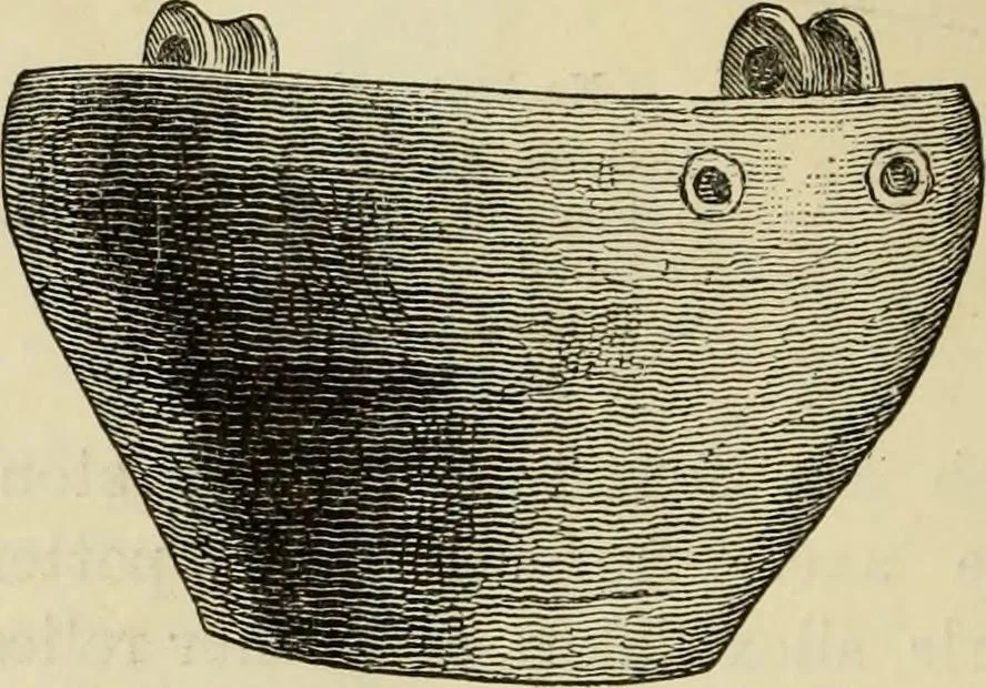 An illustration from Ilios; the city and country of the Trojans. The results of researches and discoveries on the site of Troy and throughout the Troad in the years 1871-72-73-78-79, including an autobiography of the author, 1880, leaf 739