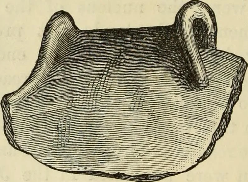 An illustration from Ilios; the city and country of the Trojans. The results of researches and discoveries on the site of Troy and throughout the Troad in the years 1871-72-73-78-79, including an autobiography of the author, 1880, leaf 739