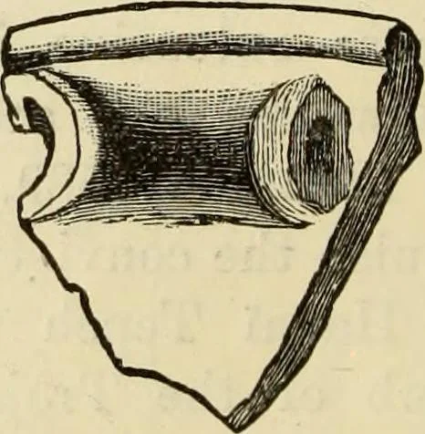An illustration from Ilios; the city and country of the Trojans. The results of researches and discoveries on the site of Troy and throughout the Troad in the years 1871-72-73-78-79, including an autobiography of the author, 1880, leaf 739