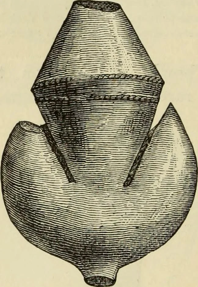 An illustration from Ilios; the city and country of the Trojans. The results of researches and discoveries on the site of Troy and throughout the Troad in the years 1871-72-73-78-79, including an autobiography of the author, 1880, leaf 741