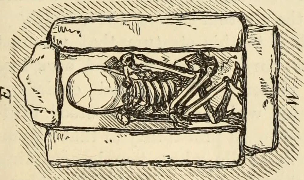 An illustration from Ilios; the city and country of the Trojans. The results of researches and discoveries on the site of Troy and throughout the Troad in the years 1871-72-73-78-79, including an autobiography of the author, 1880, leaf 742
