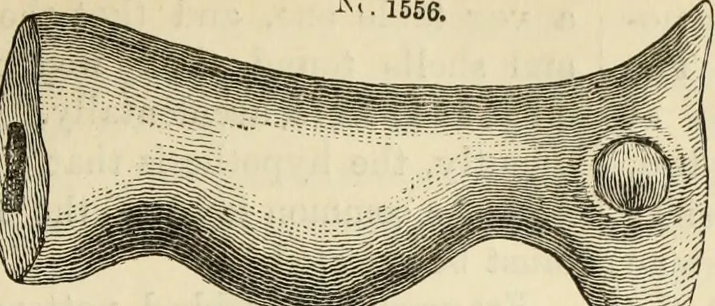 An illustration from Ilios; the city and country of the Trojans. The results of researches and discoveries on the site of Troy and throughout the Troad in the years 1871-72-73-78-79, including an autobiography of the author, 1880, leaf 744