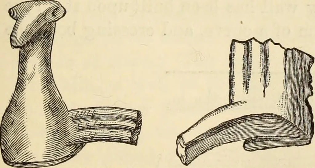 An illustration from Ilios; the city and country of the Trojans. The results of researches and discoveries on the site of Troy and throughout the Troad in the years 1871-72-73-78-79, including an autobiography of the author, 1880, leaf 744