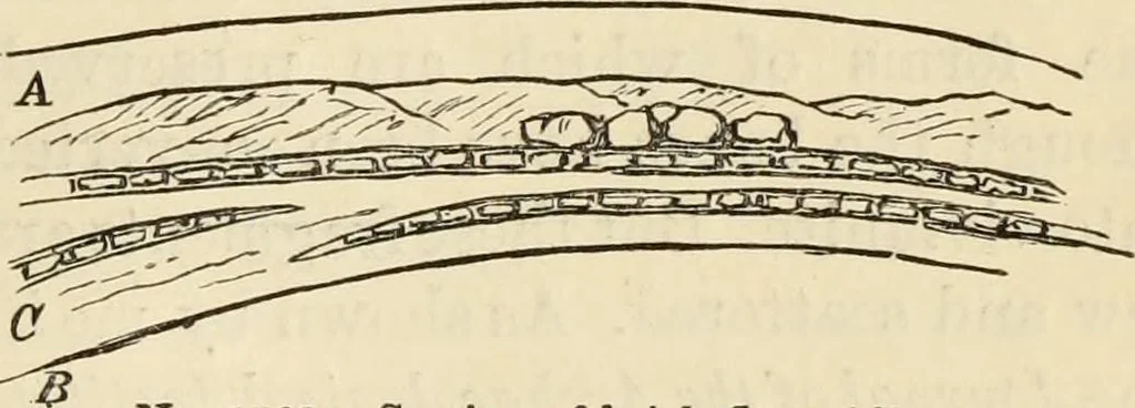 An illustration from Ilios; the city and country of the Trojans. The results of researches and discoveries on the site of Troy and throughout the Troad in the years 1871-72-73-78-79, including an autobiography of the author, 1880, leaf 744