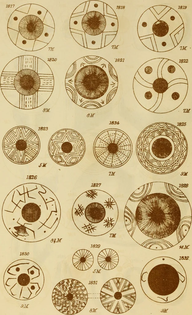 An illustration from Ilios; the city and country of the Trojans. The results of researches and discoveries on the site of Troy and throughout the Troad in the years 1871-72-73-78-79, including an autobiography of the author, 1880, leaf 845