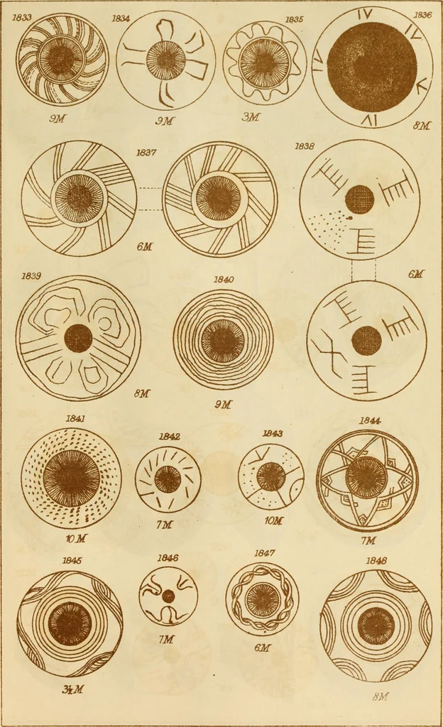 An illustration from Ilios; the city and country of the Trojans. The results of researches and discoveries on the site of Troy and throughout the Troad in the years 1871-72-73-78-79, including an autobiography of the author, 1880, leaf 846