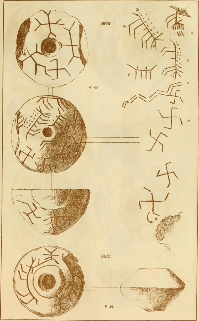 An illustration from Ilios; the city and country of the Trojans. The results of researches and discoveries on the site of Troy and throughout the Troad in the years 1871-72-73-78-79, including an autobiography of the author, 1880, leaf 852