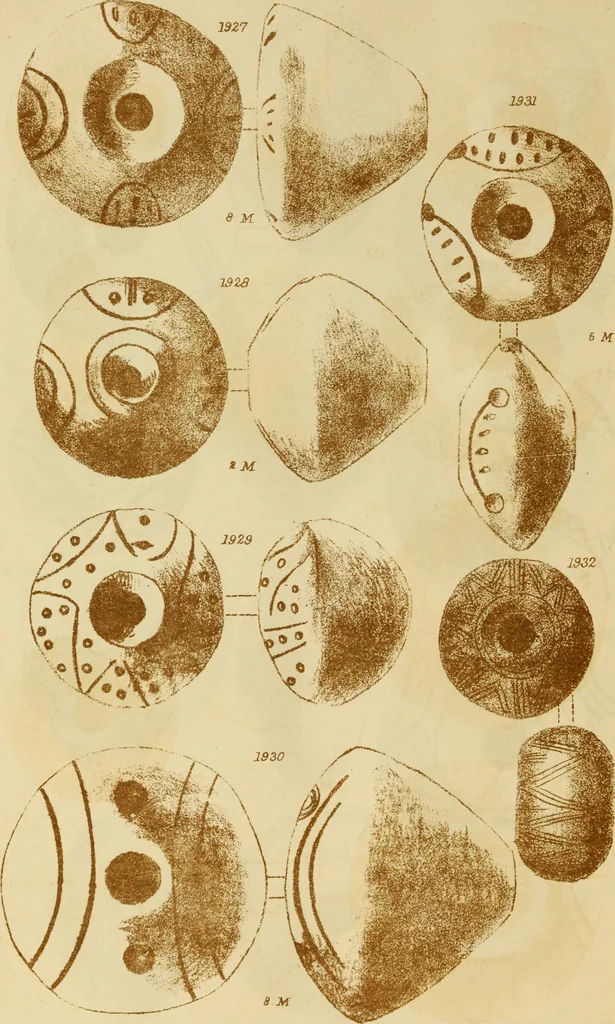 An illustration from Ilios; the city and country of the Trojans. The results of researches and discoveries on the site of Troy and throughout the Troad in the years 1871-72-73-78-79, including an autobiography of the author, 1880, leaf 861