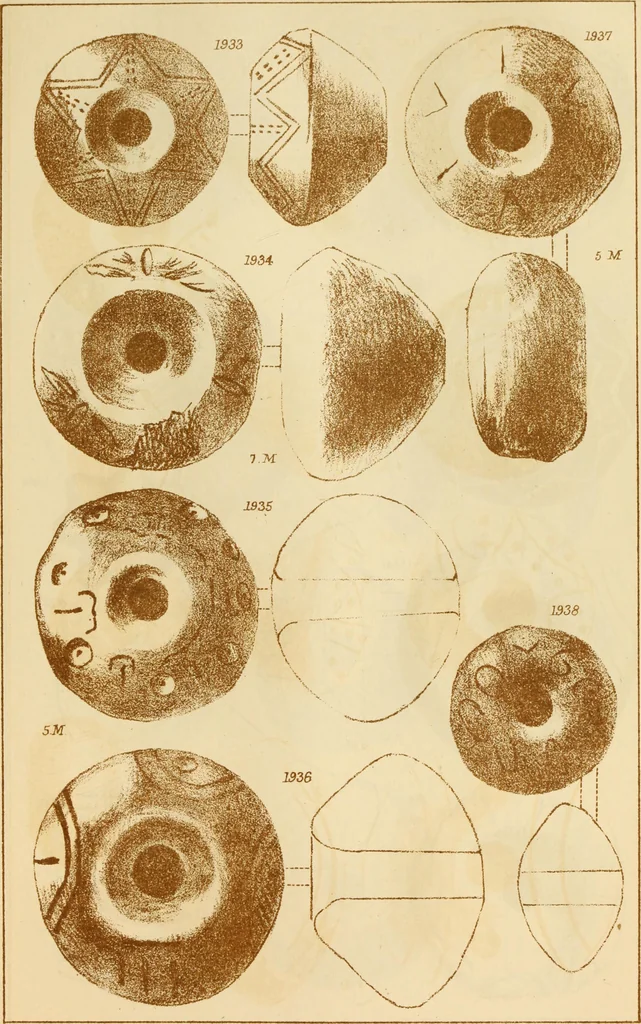 An illustration from Ilios; the city and country of the Trojans. The results of researches and discoveries on the site of Troy and throughout the Troad in the years 1871-72-73-78-79, including an autobiography of the author, 1880, leaf 862
