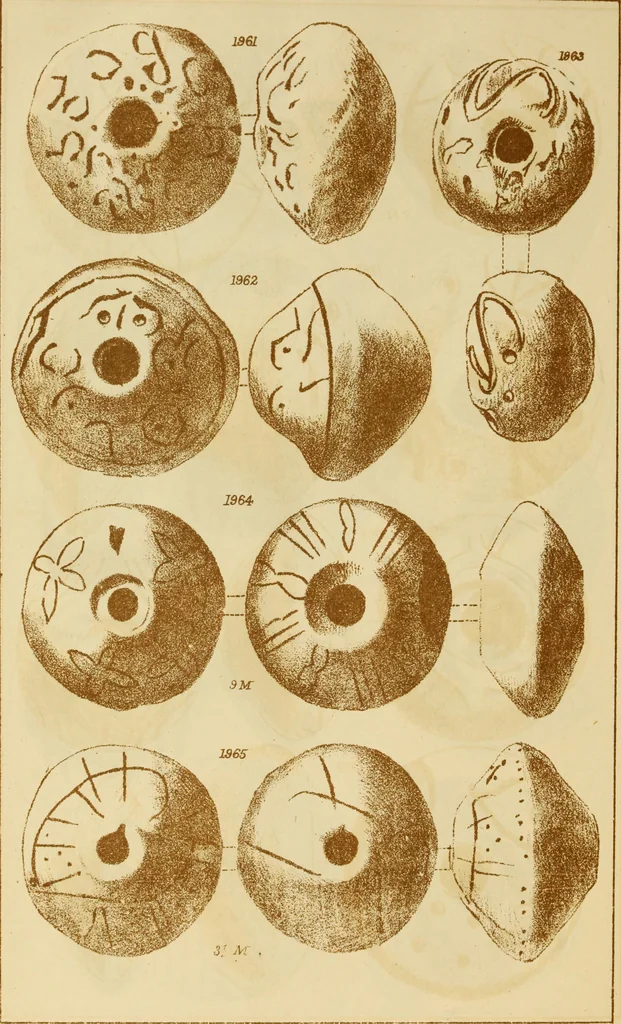 An illustration from Ilios; the city and country of the Trojans. The results of researches and discoveries on the site of Troy and throughout the Troad in the years 1871-72-73-78-79, including an autobiography of the author, 1880, leaf 867