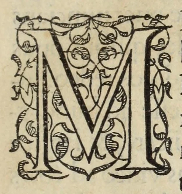 An illustration from I. LipsI Satvrnalivm sermonvm libri dvo, qui De gladiatoribus, 1585, leaf 13