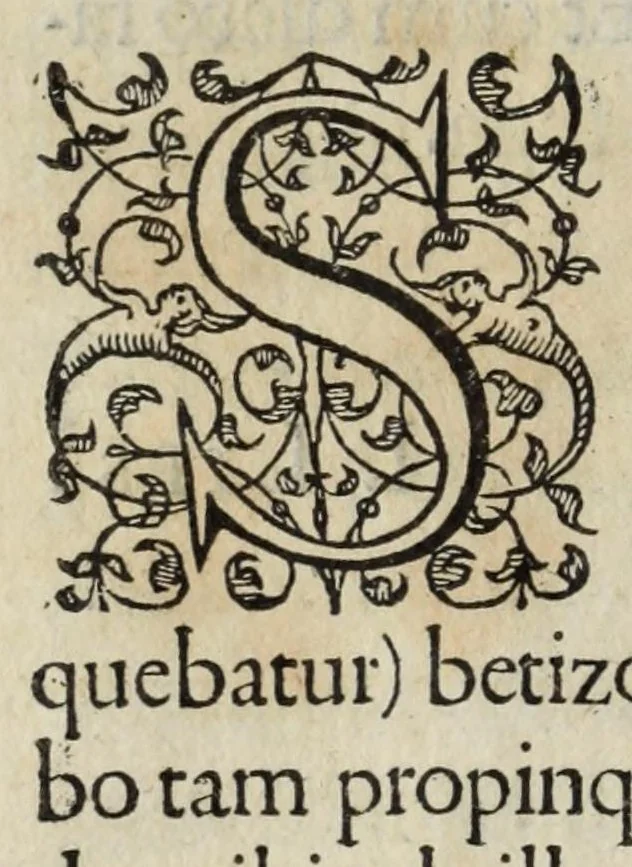 An illustration from I. LipsI Satvrnalivm sermonvm libri dvo, qui De gladiatoribus, 1585, leaf 94