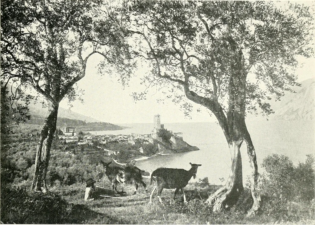 An illustration from Il Lago di Garda;, 1904, leaf 134