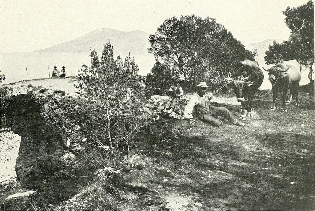 An illustration from Il Lago di Garda;, 1904, leaf 30