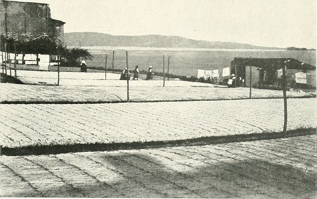 An illustration from Il Lago di Garda;, 1904, leaf 74