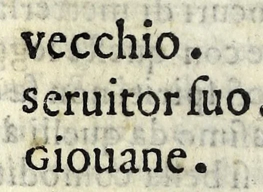 An illustration from Il lanzi : comedia, 1566, leaf 12