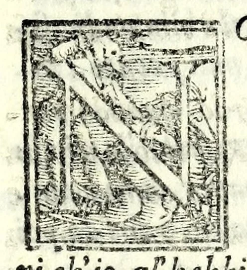 An illustration from Il lanzi : comedia, 1566, leaf 89