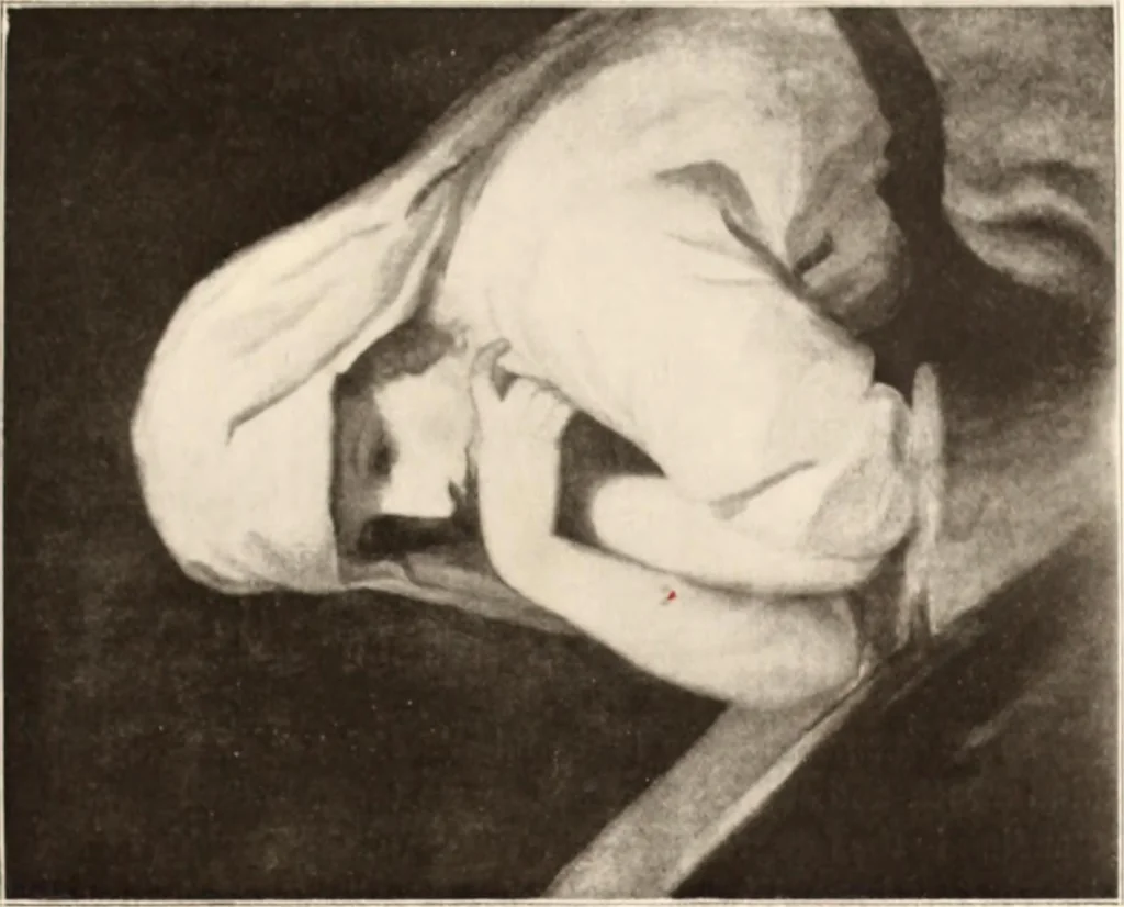 An illustration from Illustrated catalogue of the eigth [sic] series of 100 paintings by old masters of the Dutch, Flemish, Italian, French, and English schools : being a portion of the Sedelmeyer Gallery which contains about 1500 original pictures by ancient and modern artists, 1902, leaf 142