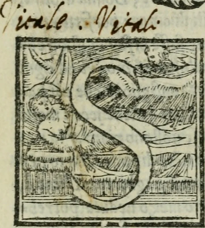 An illustration from Il libro della bella donna, 1554, leaf 10