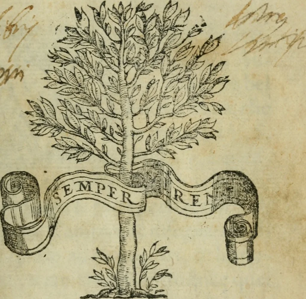 An illustration from Il libro della bella donna, 1554, leaf 4