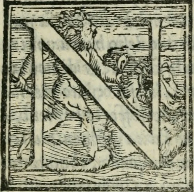 An illustration from Il libro della bella donna, 1554, leaf 42