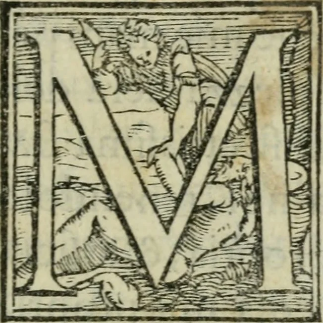An illustration from Il libro della bella donna, 1554, leaf 6