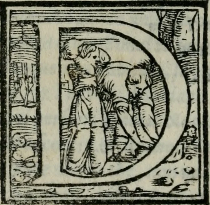 An illustration from Il libro della bella donna, 1554, leaf 81