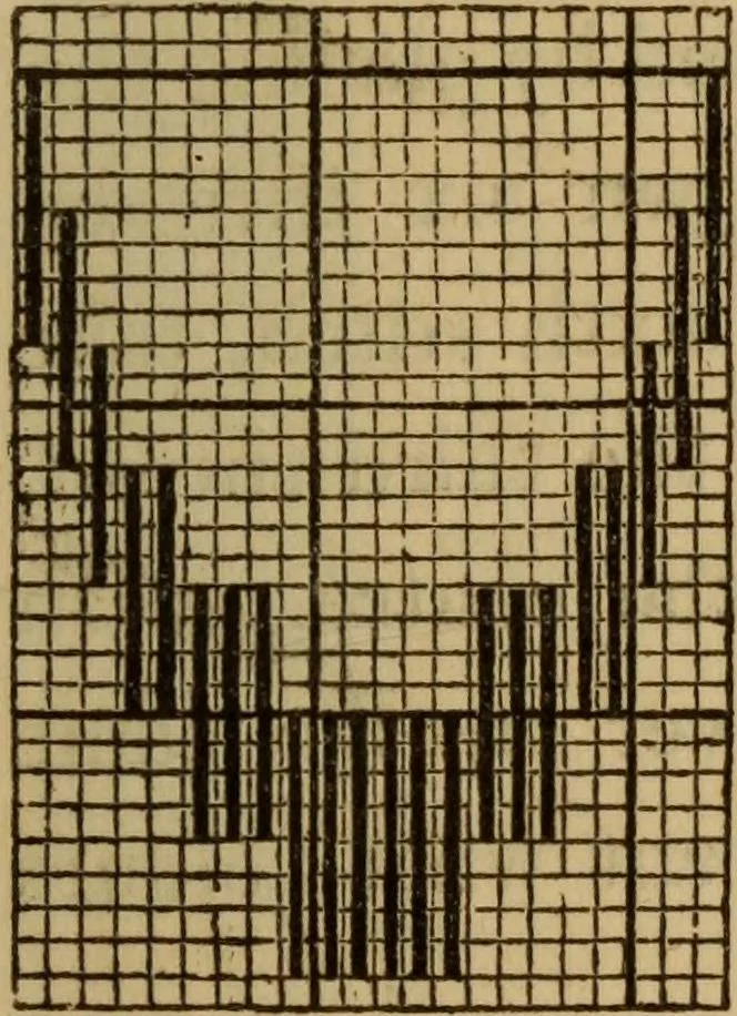 An illustration from The illuminated book of needlework : comprising knitting, netting, crochet, and embroidery, 1847, leaf 558