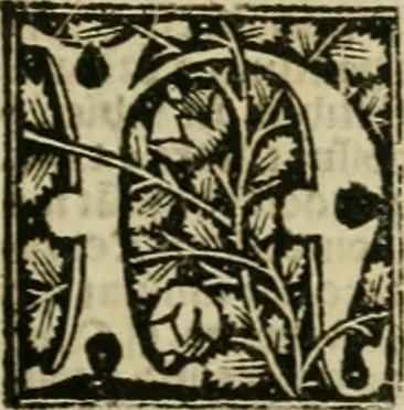 An illustration from Illuminati sacre pagine p.fessoris amplissimi magistri Raymundi Lull. Ars magna, generalis et vltima : quarucunq3 artium [et] scientiarum ipsius Lull. assecutrix et clauigera : [et] ad eas aditum faciliore prebes, antehac nusq3 arti impressorie emuctius cõmendata, 1517, leaf 224