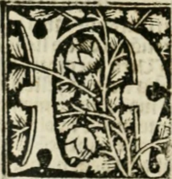 An illustration from Illuminati sacre pagine p.fessoris amplissimi magistri Raymundi Lull. Ars magna, generalis et vltima : quarucunq3 artium [et] scientiarum ipsius Lull. assecutrix et clauigera : [et] ad eas aditum faciliore prebes, antehac nusq3 arti impressorie emuctius cõmendata, 1517, leaf 277
