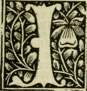 An illustration from Illuminati sacre pagine p.fessoris amplissimi magistri Raymundi Lull. Ars magna, generalis et vltima : quarucunq3 artium [et] scientiarum ipsius Lull. assecutrix et clauigera : [et] ad eas aditum faciliore prebes, antehac nusq3 arti impressorie emuctius cõmendata, 1517, leaf 40