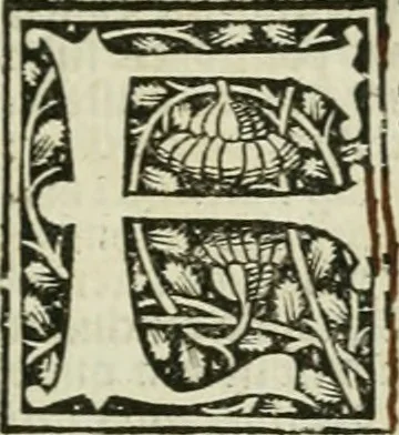 An illustration from Illuminati sacre pagine p.fessoris amplissimi magistri Raymundi Lull. Ars magna, generalis et vltima : quarucunq3 artium [et] scientiarum ipsius Lull. assecutrix et clauigera : [et] ad eas aditum faciliore prebes, antehac nusq3 arti impressorie emuctius cõmendata, 1517, leaf 82