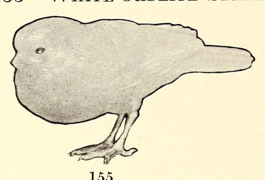 An illustration from Illustrated catalogue of an extraordinary collection of imperial jades and other beautiful objects in rock crystal, agate, lapis-lazuli and coral : mostly from the private collection of the late Captain J.F. Peel, London, England, 1912, leaf 66